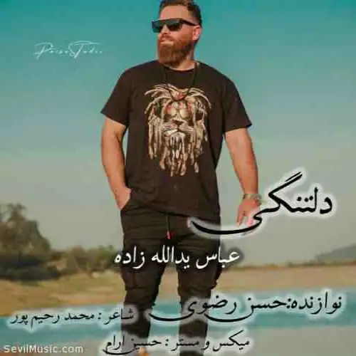 دلتنگی